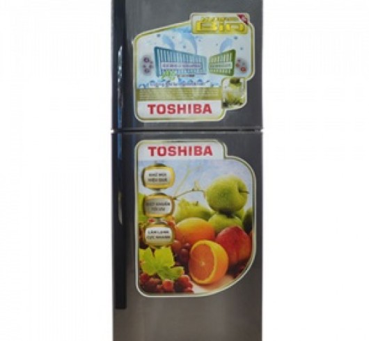 Tủ lạnh Toshiba GR-S21VPB (DS)