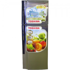 Tủ lạnh Toshiba GR-S25VUB (TS)