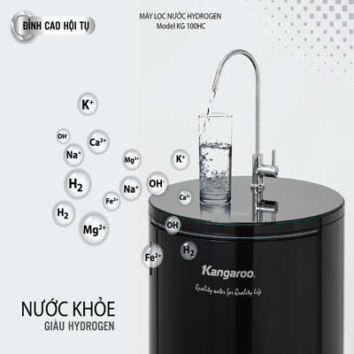 Máy lọc nước hydrogen KG 100HC